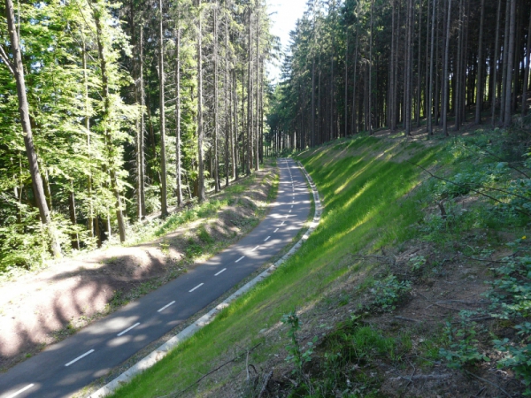 MSS - projekt s.r.o - p1480617.jpg